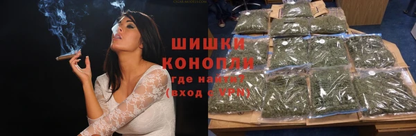 шишки Алзамай