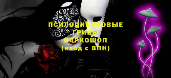 шишки Алзамай