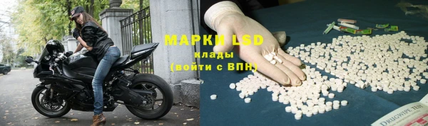 шишки Алзамай