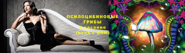 шишки Алзамай