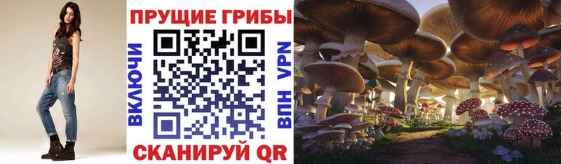 Псилоцибиновые грибы ЛСД  где можно купить наркотик  Ярцево 